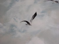 /album/galleria-foto-galleria-fotografica1/detalle-decoracion-jpg/